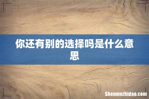 你还有别的选择吗是什么意思
