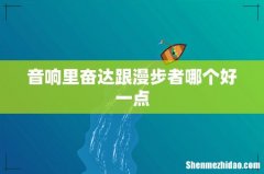 音响里奋达跟漫步者哪个好一点