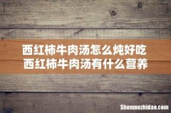 西红柿牛肉汤怎么炖好吃 西红柿牛肉汤有什么营养
