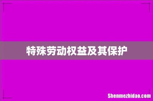 特殊劳动权益及其保护