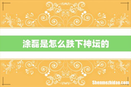 涂磊是怎么跌下神坛的