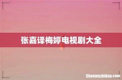 张嘉译梅婷电视剧大全