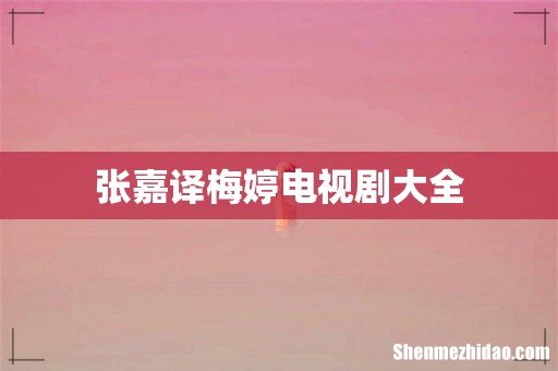 张嘉译梅婷电视剧大全