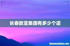 长春欧亚集团有多少个店