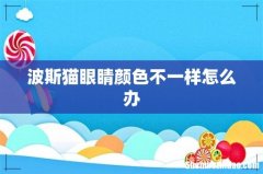 波斯猫眼睛颜色不一样怎么办