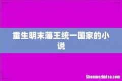 重生明末藩王统一国家的小说