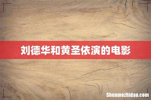刘德华和黄圣依演的电影