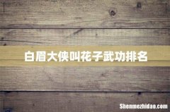 白眉大侠叫花子武功排名