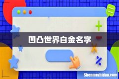 凹凸世界白金名字