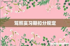 驾照实习期扣分规定
