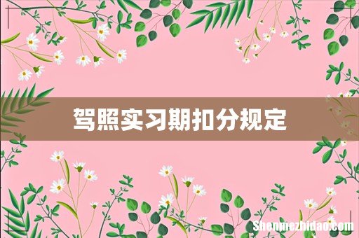 驾照实习期扣分规定