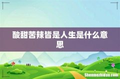 酸甜苦辣皆是人生是什么意思