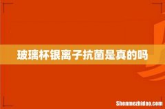 玻璃杯银离子抗菌是真的吗