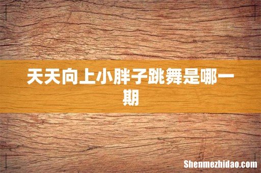 天天向上小胖子跳舞是哪一期
