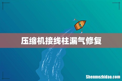 压缩机接线柱漏气修复