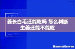 姜长白毛还能吃吗 怎么判断生姜还能不能吃