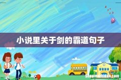 小说里关于剑的霸道句子