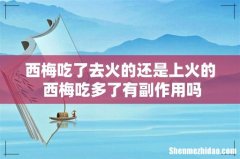西梅吃了去火的还是上火的 西梅吃多了有副作用吗
