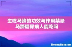 生吃马蹄的功效与作用禁忌 马蹄糖尿病人能吃吗