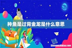 种鱼是过背金龙是什么意思
