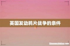 英国发动鸦片战争的条件