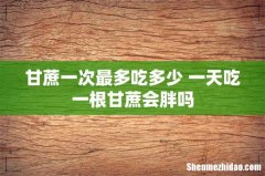 甘蔗一次最多吃多少 一天吃一根甘蔗会胖吗