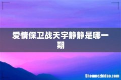 爱情保卫战天宇静静是哪一期