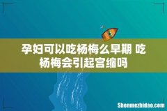 孕妇可以吃杨梅么早期 吃杨梅会引起宫缩吗