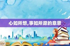 心如所想,事如所愿的意思