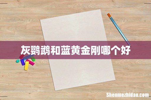 灰鹦鹉和蓝黄金刚哪个好