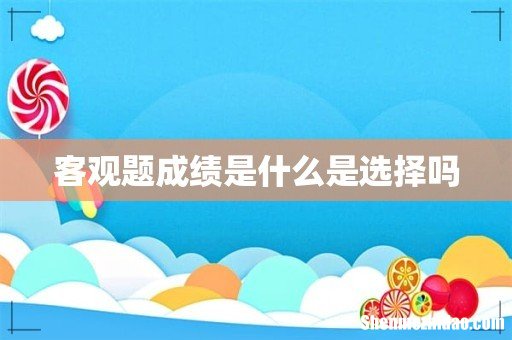 客观题成绩是什么是选择吗