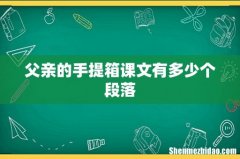 父亲的手提箱课文有多少个段落