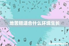地苦胆适合什么环境生长