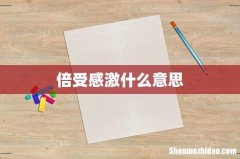 倍受感激什么意思