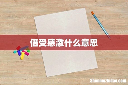 倍受感激什么意思