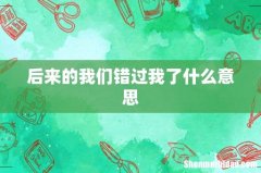 后来的我们错过我了什么意思