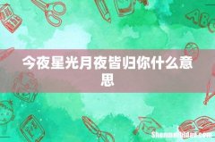 今夜星光月夜皆归你什么意思
