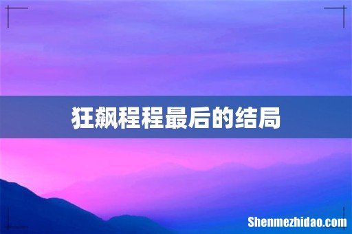 狂飙程程最后的结局