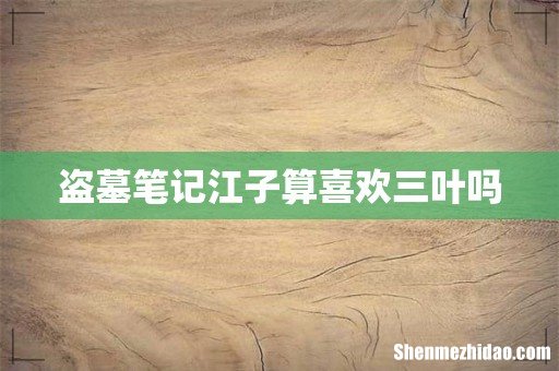 盗墓笔记江子算喜欢三叶吗