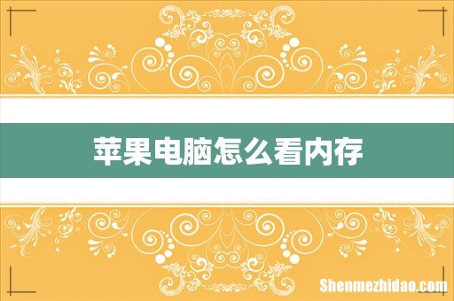 苹果电脑怎么看内存