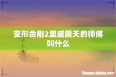 变形金刚2里威震天的师傅叫什么