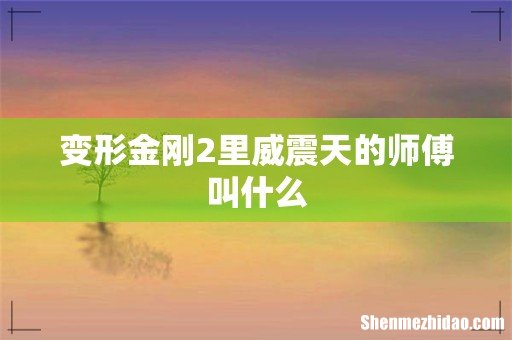 变形金刚2里威震天的师傅叫什么