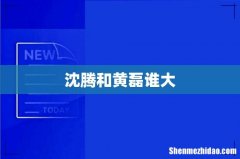 沈腾和黄磊谁大