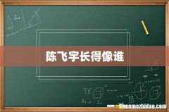 陈飞宇长得像谁
