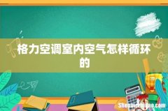 格力空调室内空气怎样循环的