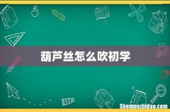 葫芦丝怎么吹初学