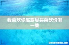 我喜欢你赵露思买菜砍价哪一集