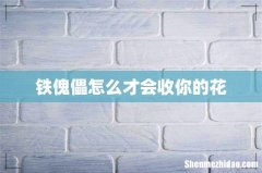 铁傀儡怎么才会收你的花