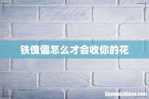 铁傀儡怎么才会收你的花