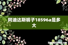 阿迪达斯裤子18596a是多大